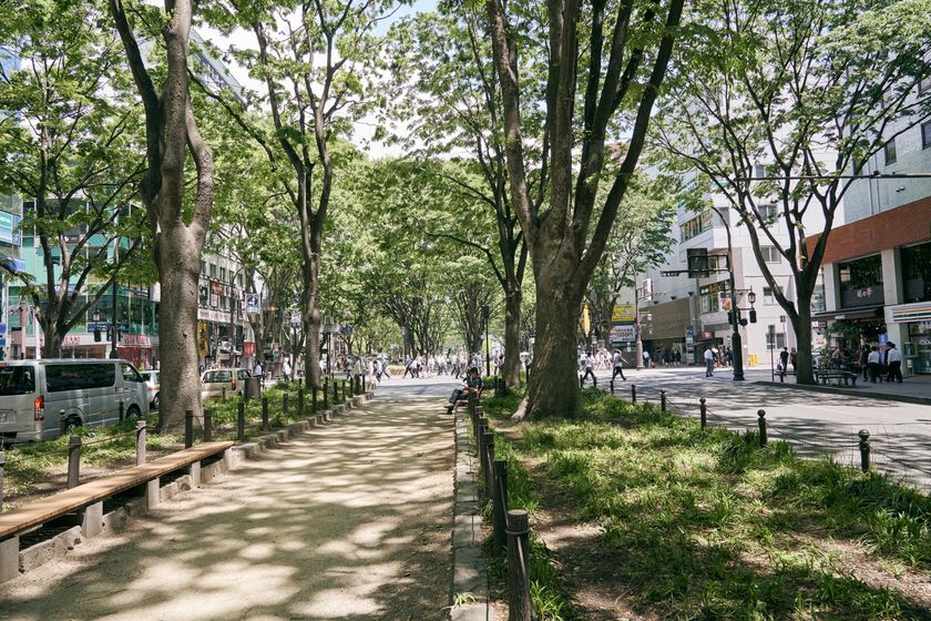 東北初！オンラインによる“心の健康相談”
『VCPカウンセリングオフィス』の提供を開始　
東北福祉大学から地域へ、全国どこからでも相談可能