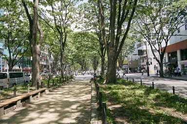 『VCPカウンセリングオフィス』がある仙台の街並み