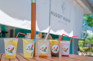 【NUGGET NUGGET】9