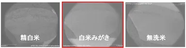 米の表面状態比較