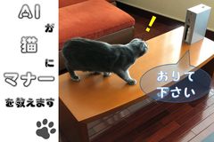 猫に優しくマナーを教える装置「マニャーdeシュ！」