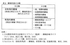 桜カイロプラクティック、非特異的腰痛の原因をまとめたコラム「世界初！見過ごされた腰痛の原因 ～非特異的腰痛の治療～」を発表