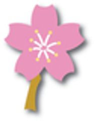 桜カイロプラクティックのロゴ