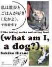大人気フードエッセイスト・平野紗季子さんによる雑誌Hanakoの連載が1冊に　6年ぶり、2冊目の著著『私は散歩とごはんが好き(犬かよ)。』7月15日(水)発売