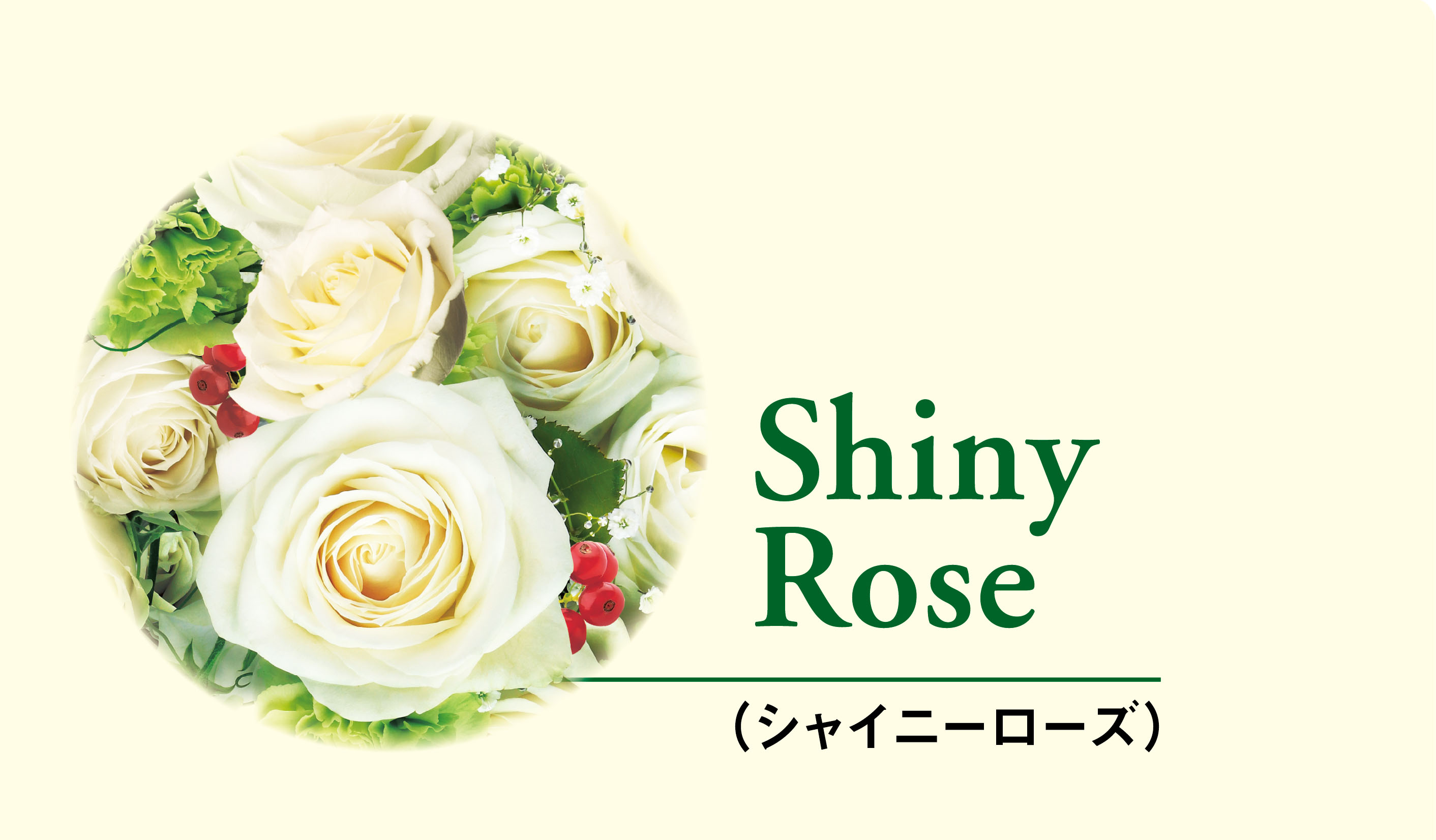 部屋干しでも1日中ずっと抗菌※＆ずっと香る柔軟剤入り衣料用液体洗剤『香りつづくトップ 抗菌plus Shiny Rose』新発売｜ライオン 株式会社のプレスリリース