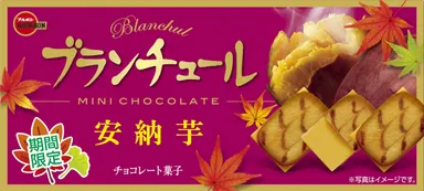 ブランチュールミニチョコレート安納芋