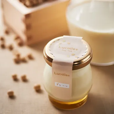 Lucolletプレーン