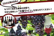 もうすぐ始まる葡萄の収穫とワイン造り“大阪ワイナリー”応援プロジェクトが7/17～スタート！