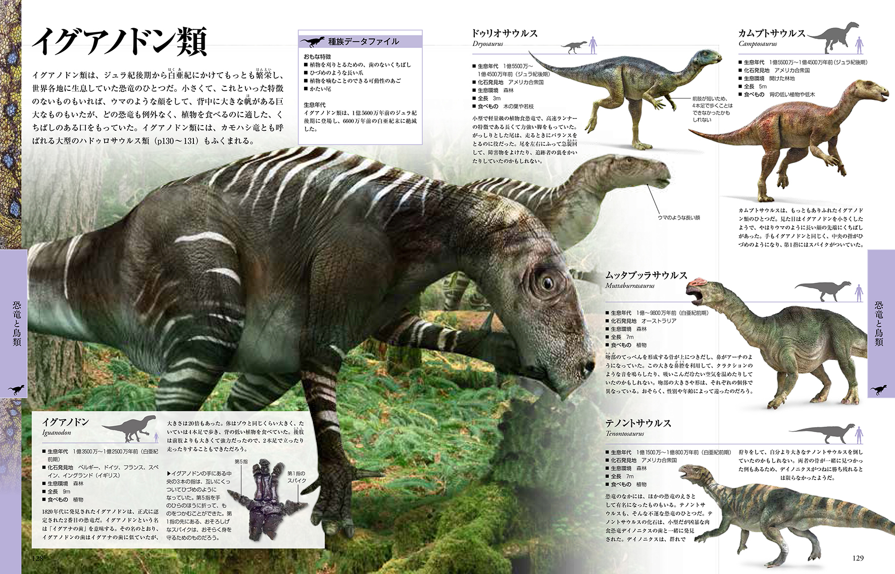 ビジュアル 恐竜大図鑑 年代別 古生物の全生態 7月日 月 発売 日経ナショナル ジオグラフィック社のプレスリリース