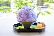 『こまち茶屋』名物 色が変わるかき氷「紫陽花氷」1,420円(税込)