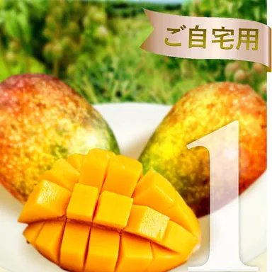 マンゴー1kg ￥4,000 送料無料