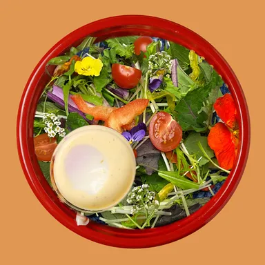 奈良発「地産地消」弁当イメージ_3