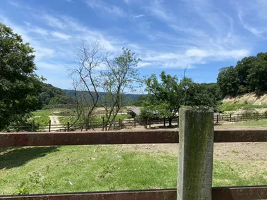 「大和牛」の牧場風景