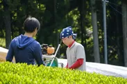 京都和束産・自家栽培茶のみ使用
