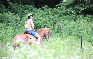 【画像】乗馬体験