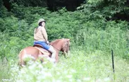 【画像】乗馬体験