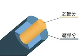 ＊1 芯鞘構造型コンジュゲート