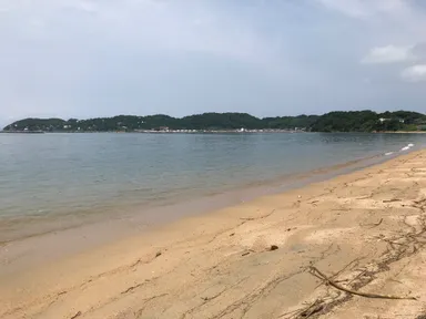 清掃後のビーチ