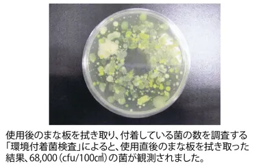 使用直後のまな板をふき取った結果