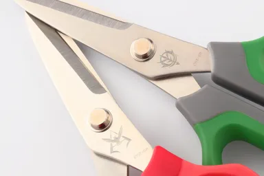 エンブレム拡大