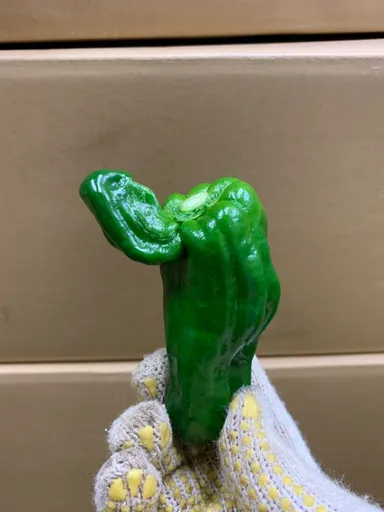 規格外のピーマン