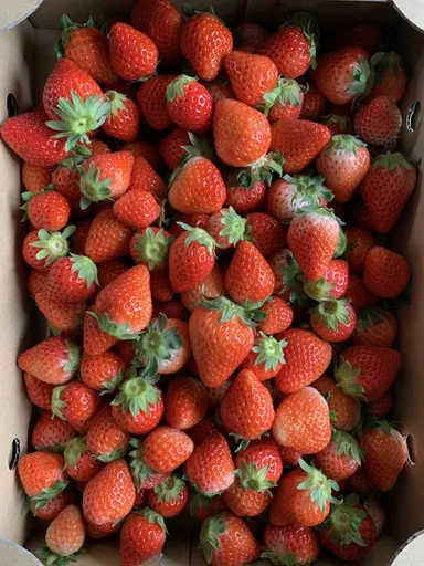 冷凍苺などもある