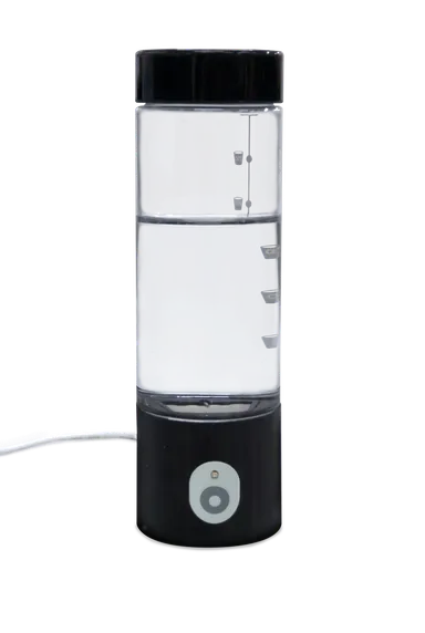 正面全体(背景なし)