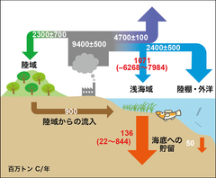 地球全体の炭素(ブルーカーボン)循環図(図1)