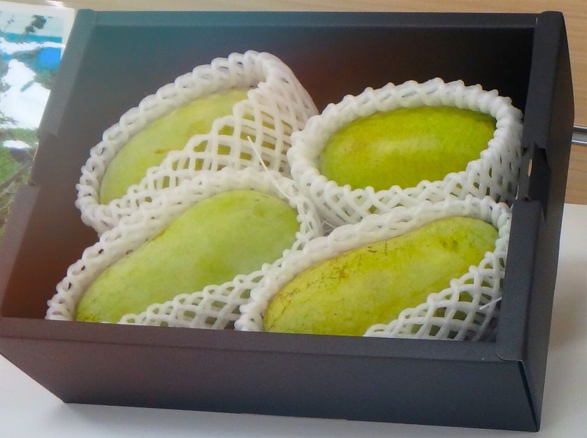 幻の果実
「ポポー」を販売します！