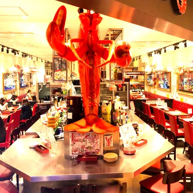 yaesu 海老 talian バル 内観(2)