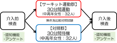図1 研究の方法の概要(東北大提供)
