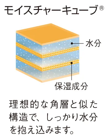 モイスチャーキューブ(R)