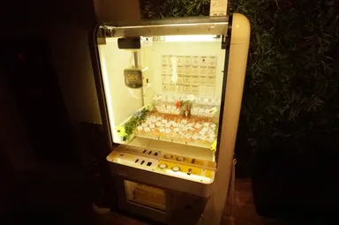 宝石キャッチャー