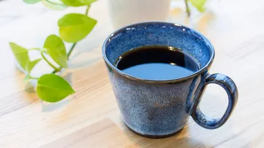 生涯を添い遂げるマグ　新庄東山焼