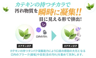 カテキンのチカラ