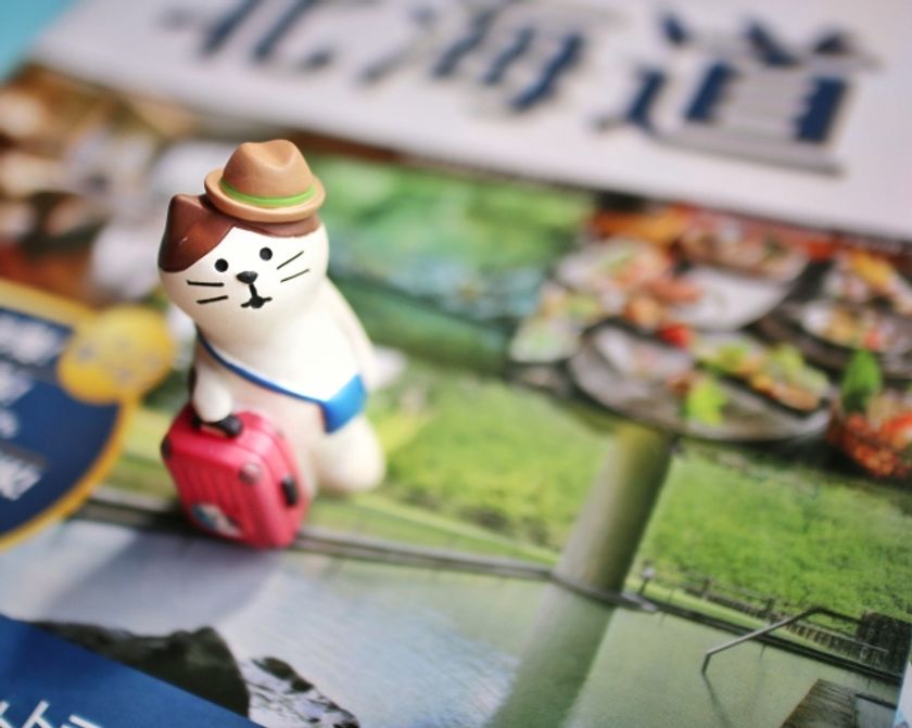 夏休みに関する調査
