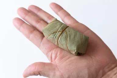 見た目もコロコロ可愛い