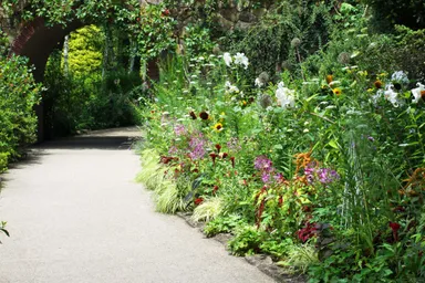 夏のボーダーガーデン