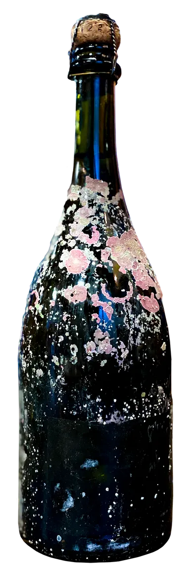 西伊豆海底熟成酒ドンペリニヨン