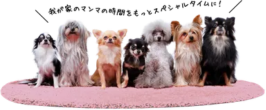 マンマの時間をもっとスペシャルタイムに