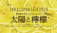 レモンサワーから料理・デザートまでレモンを使った爽快グルメフェア『太陽と檸檬』開催中！