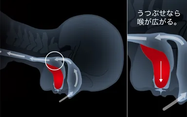 うつぶせ寝のメリット