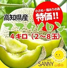 高知産マスクメロン