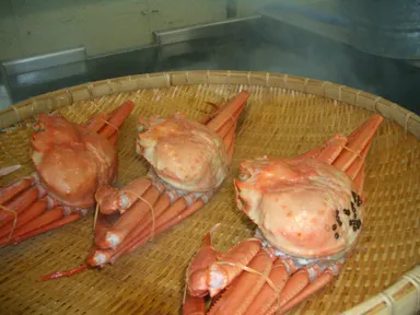 湯掻きたて画像