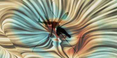 蚊の飛行メカニズム解明イメージ