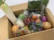 新鮮野菜お楽しみBOXイメージ