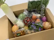 新鮮野菜お楽しみBOXイメージ