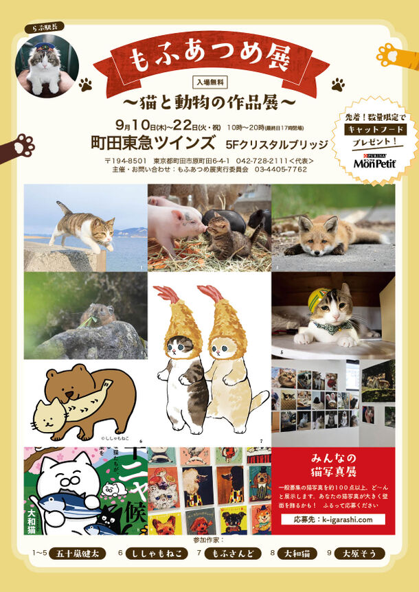 猫と動物の作品が200点以上！「もふあつめ展」を町田東急ツインズで9月