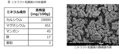 乳酸菌数、カルシウム含有量を規格化した『ミネラクト乳酸菌』の販売を開始