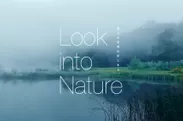 Look into Natureコンセプト画像